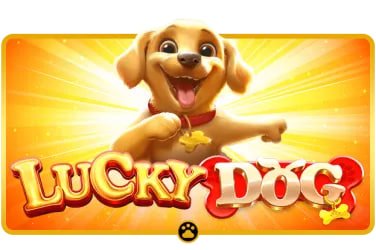 cm8866 đặt cược thể thao live betting