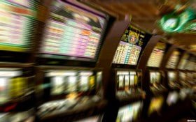cm8866 bingo phòng chơi trực tuyến